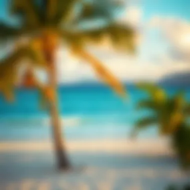 Magnificent Antigua Coconut Bay: An In-Depth Exploration Magnificent Antigua Coconut Bay: An In-Depth Exploration