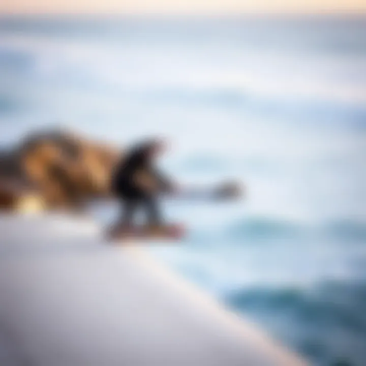 Magnificent Boardsports in Alameda: A Comprehensive Exploration