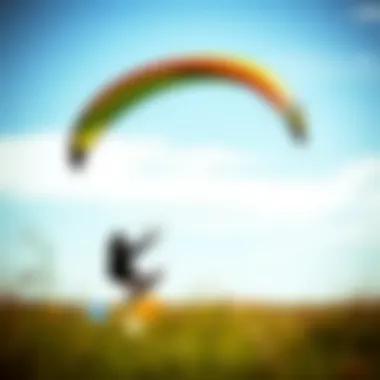 Magnificent Choosing the Best First Kite: An In-Depth Guide Magnificent Choosing the Best First Kite: An In-Depth Guide