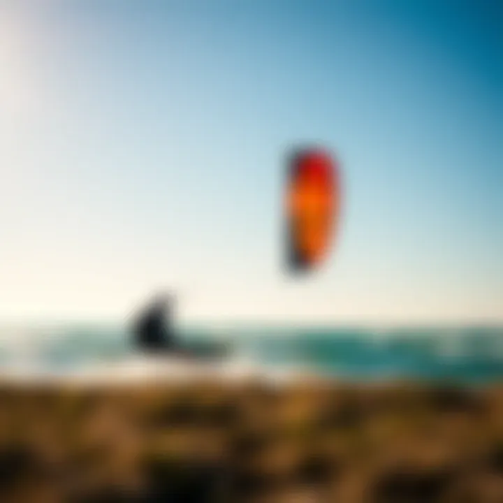 Magnificent Essential Guidance on Choosing the Right Kites for Beginners