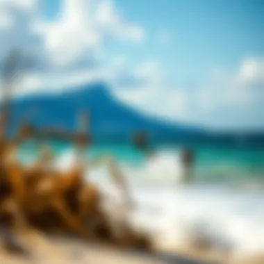 Magnificent Exploring Caberte in the Dominican Republic: A Kiteboarding Paradise Magnificent Exploring Caberte in the Dominican Republic: A Kiteboarding Paradise