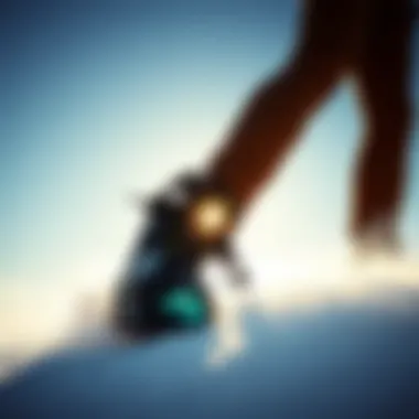 Magnificent Exploring Ride C10 Bindings: A Comprehensive Analysis Magnificent Exploring Ride C10 Bindings: A Comprehensive Analysis