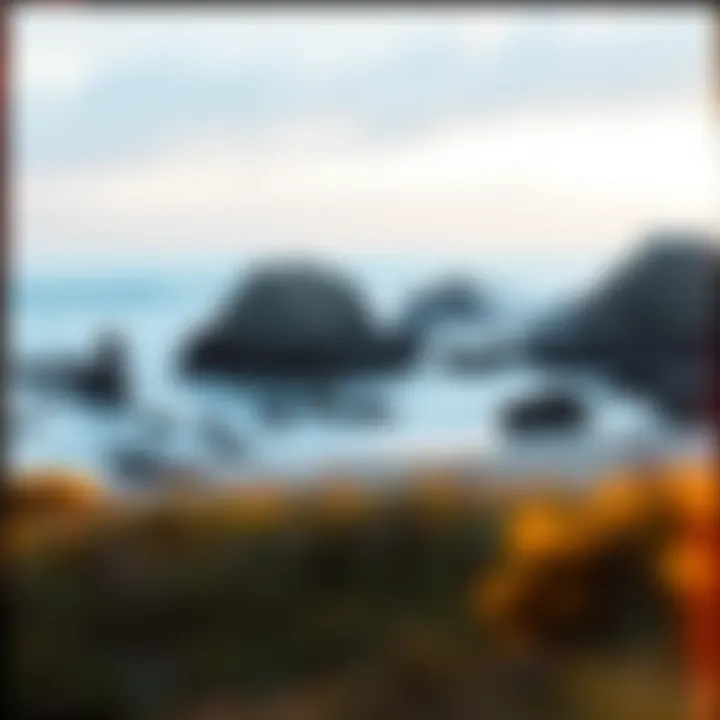 Magnificent Exploring the Beaches of Bodega Bay: A Detailed Guide