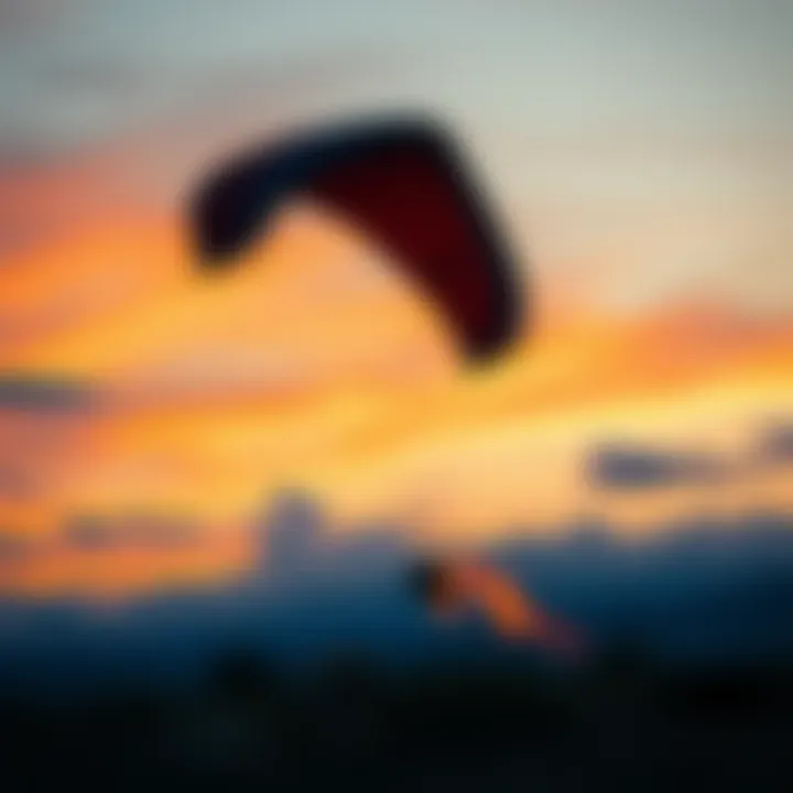 Magnificent Exploring the Brand Kite: An In-Depth Analysis