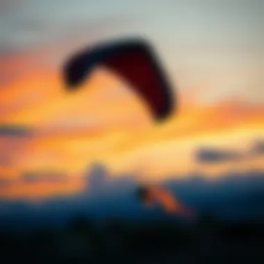 Magnificent Exploring the Brand Kite: An In-Depth Analysis Magnificent Exploring the Brand Kite: An In-Depth Analysis