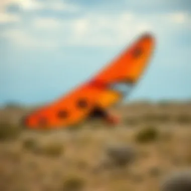 Magnificent Exploring the Woo Kite 3.0: An In-Depth Analysis Magnificent Exploring the Woo Kite 3.0: An In-Depth Analysis