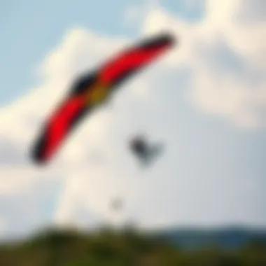 Magnificent Exploring the World of F1 Kites: A Comprehensive Guide Magnificent Exploring the World of F1 Kites: A Comprehensive Guide