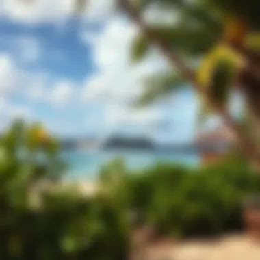 Magnificent Exploring Travel Opportunities in Saipan Magnificent Exploring Travel Opportunities in Saipan