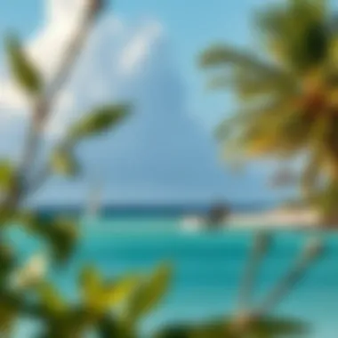 Notable Antigua Coconut Bay: An In-Depth Exploration Notable Antigua Coconut Bay: An In-Depth Exploration