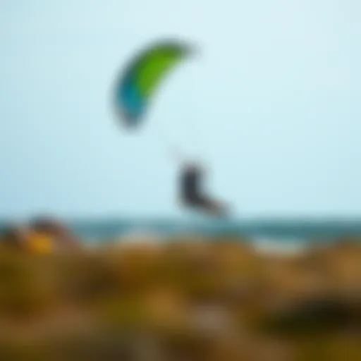 Choosing the Best Beginner Kitesurfing Kites Introduction
