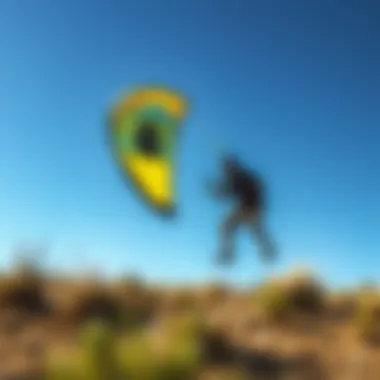 Choosing the Best First Kite: An In-Depth Guide Summary Choosing the Best First Kite: An In-Depth Guide Summary