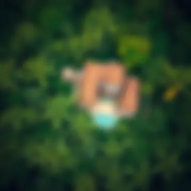 Aerial view of Coconut Hotel surrounded by lush greenery