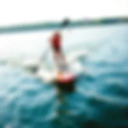 Innovative hover paddle board gliding over water