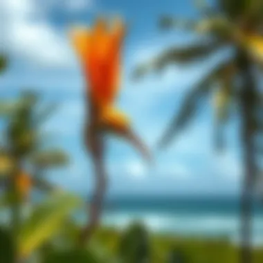 Diverse Flora and Fauna of Diani Beach A close-up of the local flora and fauna around Diani Beach