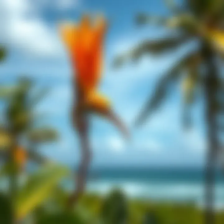 Diverse Flora and Fauna of Diani Beach A close-up of the local flora and fauna around Diani Beach