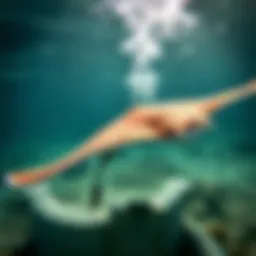 Essential First Aid for Stingray Encounter: A Comprehensive Guide Introduction