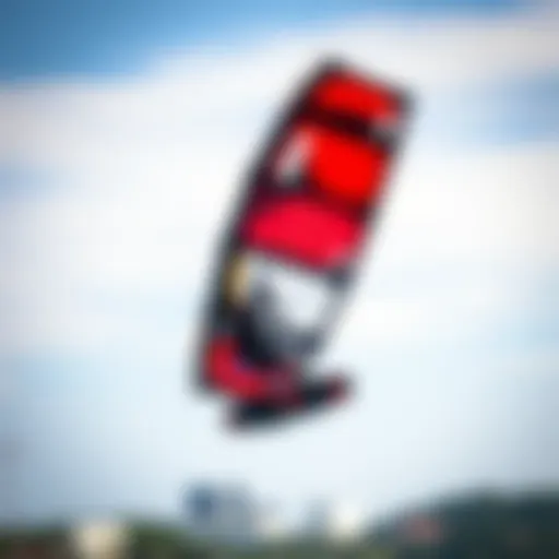 Essential Guidance on Choosing the Right Kites for Beginners Introduction