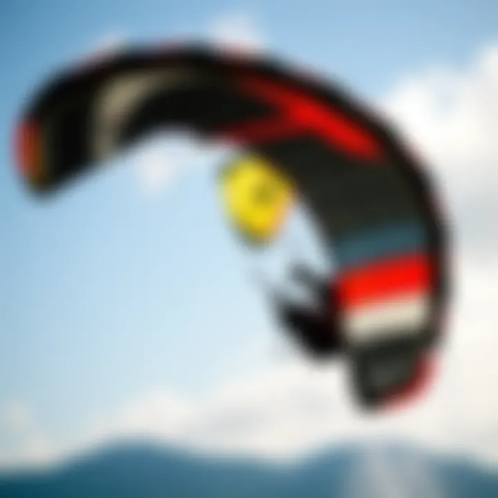 Notable Essential Guidance on Choosing the Right Kites for Beginners