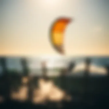 Essential Guidance on Choosing the Right Kites for Beginners Summary Essential Guidance on Choosing the Right Kites for Beginners Summary