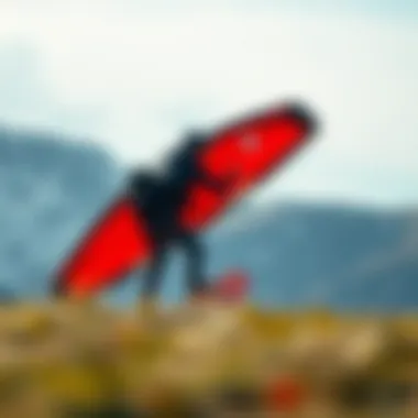 Essential Kite Sailing Equipment: A Comprehensive Guide Summary Essential Kite Sailing Equipment: A Comprehensive Guide Summary