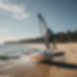 Various types of hydrofoils displayed on a beach