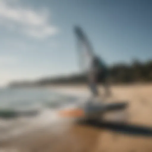 Various types of hydrofoils displayed on a beach