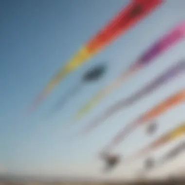 An array of colorful kites displayed online