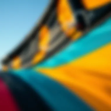 Innovative Materials in Kite Design Close-up of high-performance kite material and design features