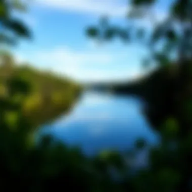 Lush Forests and Tranquil Waters of the Panhandle Scenic landscape featuring lush forests and tranquil waters of the Florida Panhandle