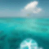 A breathtaking view of Jambiani's turquoise waters perfect for kiteboarding