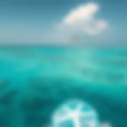 A breathtaking view of Jambiani's turquoise waters perfect for kiteboarding