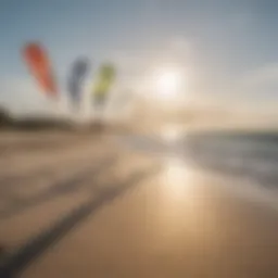 Diverse range of kiteboarding kites displayed on a beach