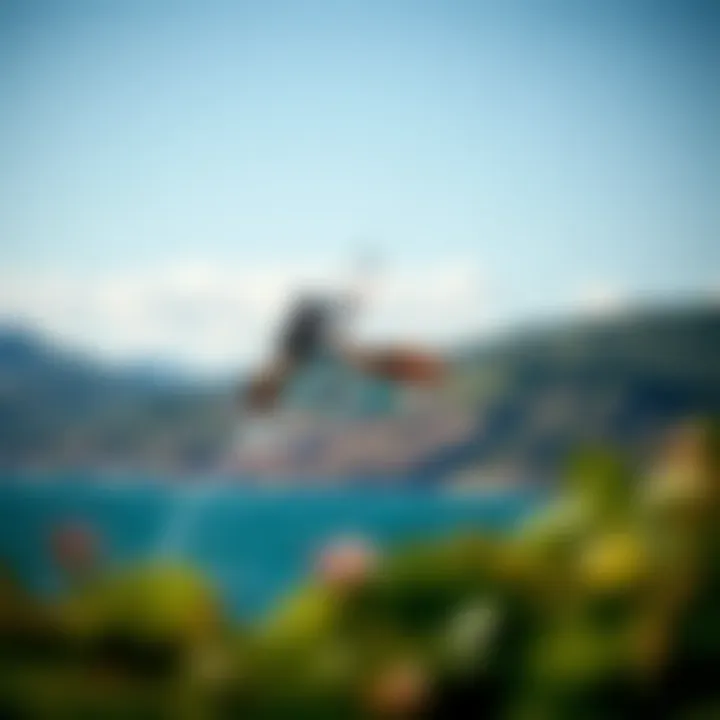 Aerial Performance with Liquid Force Kite Board A kiteboarder performing an aerial maneuver with a Liquid Force kite board against a scenic backdrop.