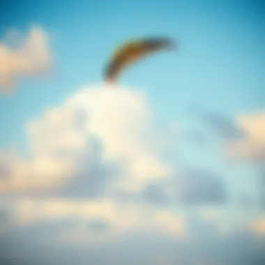 An elegant low wind kite soaring gracefully in a serene sky