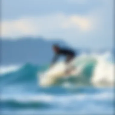 Exploring Mojo Surf: A Comprehensive Guide Summary Exploring Mojo Surf: A Comprehensive Guide Summary