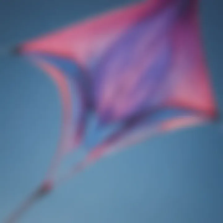 Close-up of Ozone kite's intricate design and stitching