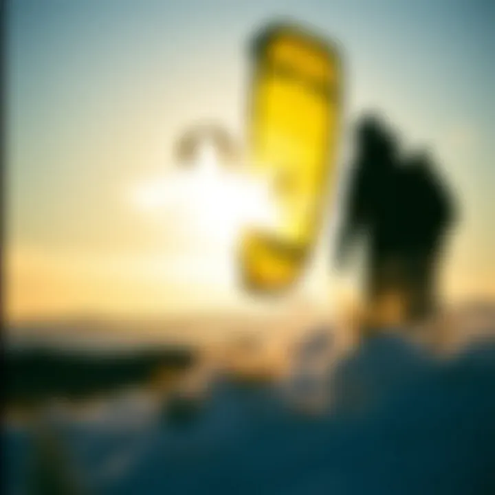 Exploring Retail Options for Kite Purchases Introduction