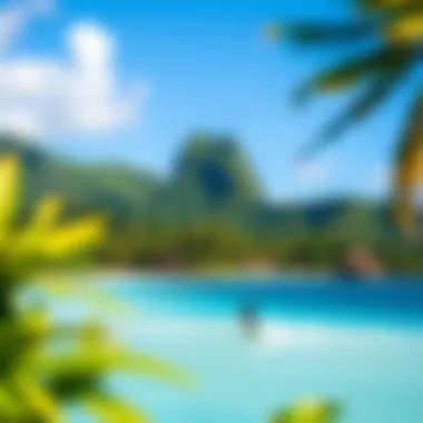 The stunning landscape of Coconut Bay, showcasing its pristine beach and lush greenery