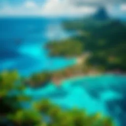 A breathtaking aerial view of Sea Bay showcasing its turquoise waters and lush surroundings