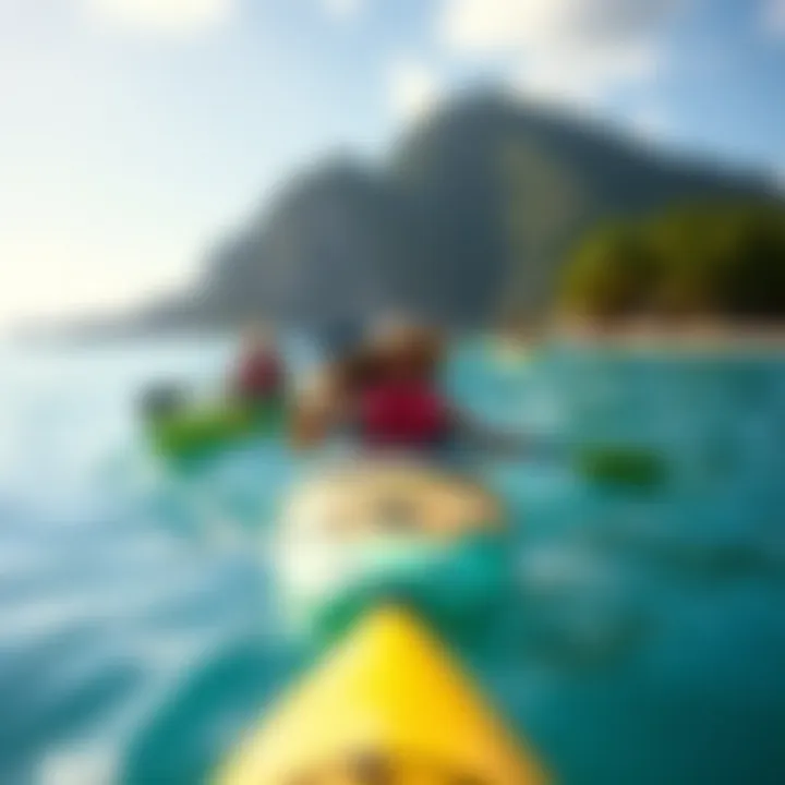Eco-Friendly Fun at Sea Bay Visitors engaging in eco-friendly activities such as kayaking in the vibrant waters