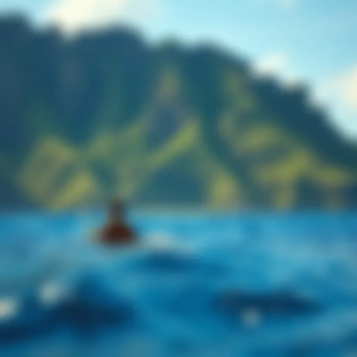 Exploring Taveuni Island, Fiji: A Hidden Gem for Adventure Enthusiasts Summary