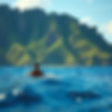 Exploring Taveuni Island, Fiji: A Hidden Gem for Adventure Enthusiasts Summary Exploring Taveuni Island, Fiji: A Hidden Gem for Adventure Enthusiasts Summary