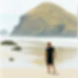 Exploring the Beaches of Bodega Bay: A Detailed Guide Introduction