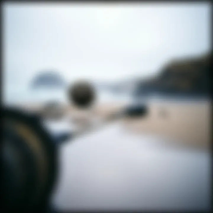 Notable Exploring the Beaches of Bodega Bay: A Detailed Guide