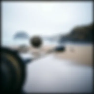 Notable Exploring the Beaches of Bodega Bay: A Detailed Guide Notable Exploring the Beaches of Bodega Bay: A Detailed Guide