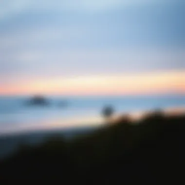 Exploring the Beaches of Bodega Bay: A Detailed Guide Summary Exploring the Beaches of Bodega Bay: A Detailed Guide Summary