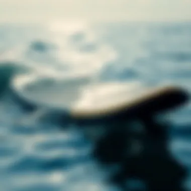Hydrofoil surfboard gliding over water