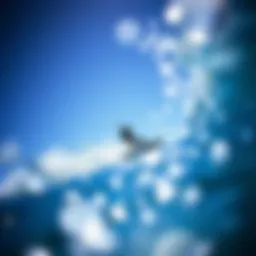 Exploring the Depths of Naish Kiteboarding: A Comprehensive Guide Introduction