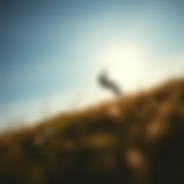 Exploring the Dynamics of a 14m Kite Summary