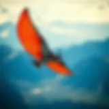 Exploring the Market for Kitewings: A Comprehensive Guide Introduction